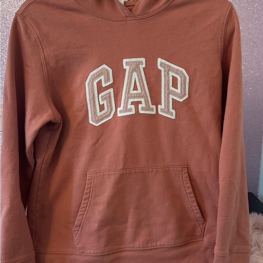 GAP Terracotta Hoodie